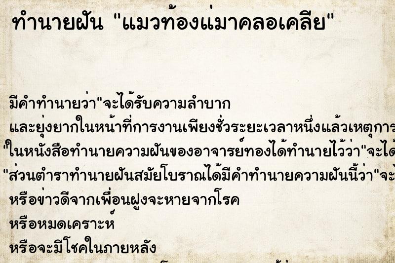 ทำนายฝัน แมวท้องแ่มาคลอเคลีย ทำนายฝัน แมวท้องแ่มาคลอเคลีย