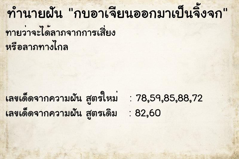 ทำนายฝันทำนายฝันกบอาเจียนออกมาเป็นจิ้งจก
