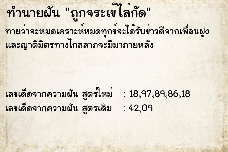 ทำนายฝันถูกจระเข้ไล่กัด ทำนายฝันทำนายฝันถูกจระเข้ไล่กัด