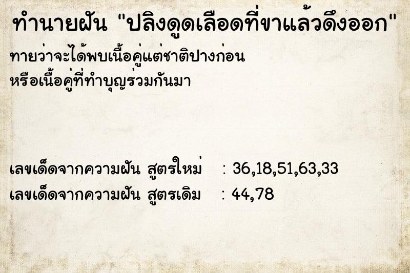 ทำนายฝัน ปลิงดูดเลือดที่ขาแล้วดึงออก