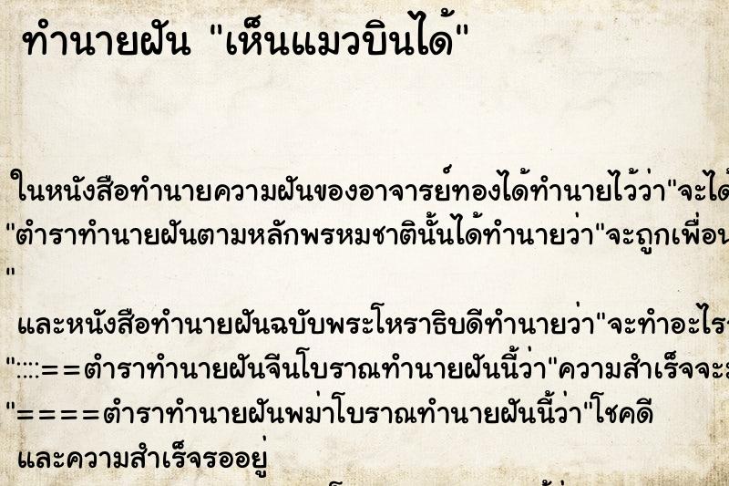 ทำนายฝัน เห็นแมวบินได้ ทำนายฝัน เห็นแมวบินได้
