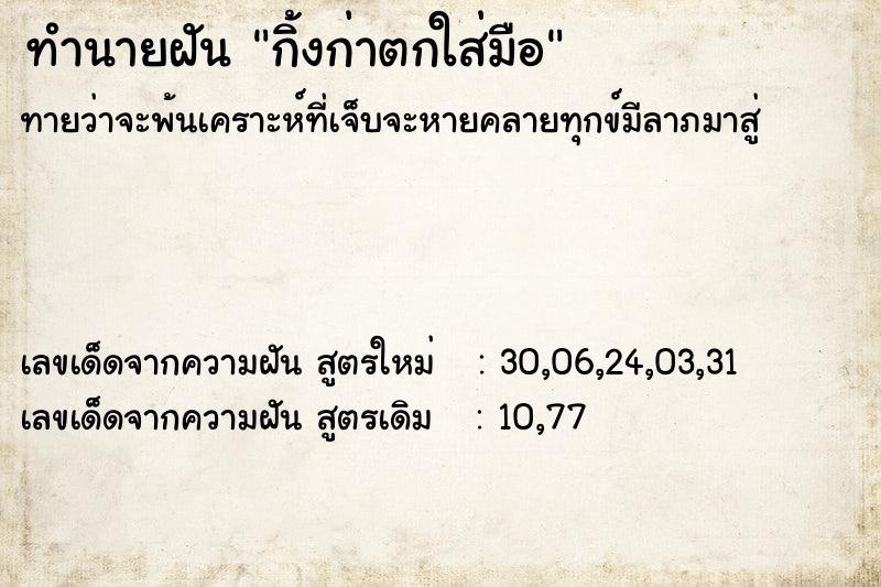 ทำนายฝันกิ้งก่าตกใส่มือ ทำนายฝันทำนายฝันกิ้งก่าตกใส่มือ