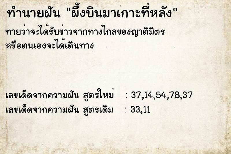 ทำนายฝันผึ้งบินมาเกาะที่ีหลัง ทำนายฝันทำนายฝันผึ้งบินมาเกาะที่ีหลัง
