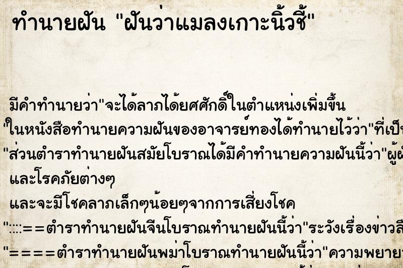ทำนายฝัน ฝันว่าแมลงเกาะนิ้วชี้ ทำนายฝัน ฝันว่าแมลงเกาะนิ้วชี้