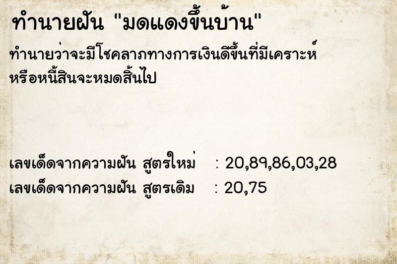ทำนายฝันทำนายฝันมดแดงขึ้นบ้าน
