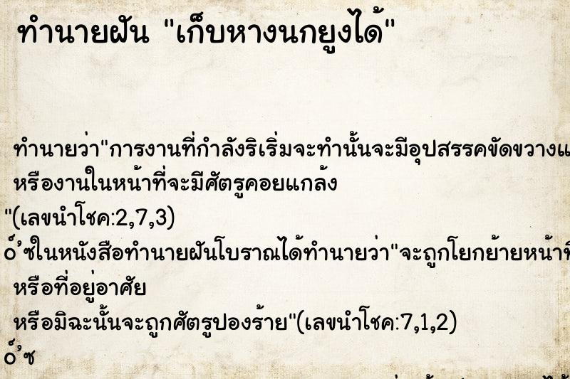 ทำนายฝันเก็บหางนกยูงได้ ทำนายฝันทำนายฝันเก็บหางนกยูงได้