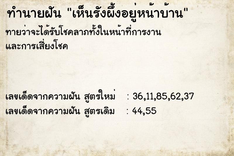 ทำนายฝันเห็นรังผึ้งอยู่หน้าบ้าน ทำนายฝันทำนายฝันเห็นรังผึ้งอยู่หน้าบ้าน