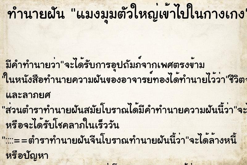ทำนายฝัน แมงมุมตัวใหญ่เข้าไปในกางเกง ทำนายฝัน แมงมุมตัวใหญ่เข้าไปในกางเกง