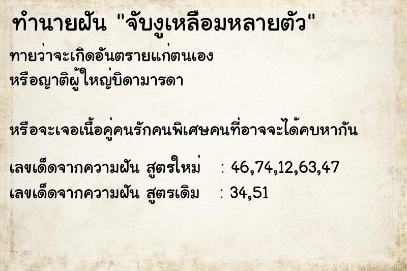ทำนายฝันจับงูเหลือมหลายตัว ทำนายฝันทำนายฝันจับงูเหลือมหลายตัว