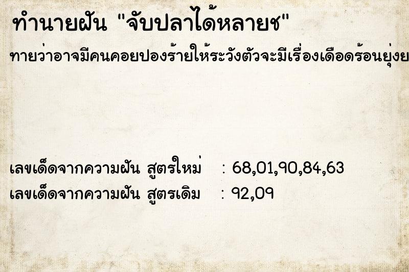 ทำนายฝันจับปลาได้หลายช ทำนายฝันทำนายฝันจับปลาได้หลายช