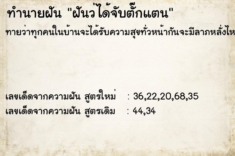 ทำนายฝันฝันว่ได้จับตั๊กแตน ทำนายฝันทำนายฝันฝันว่ได้จับตั๊กแตน