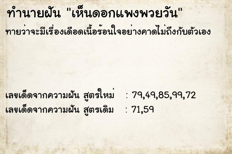 ทำนายฝันเห็นดอกแพงพวยวัน ทำนายฝันทำนายฝันเห็นดอกแพงพวยวัน