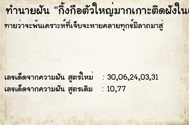 ทำนายฝันกิ้งกือตัวใหญ่มากเกาะติดฝังในเนื้อแขนแน่นมาก ทำนายฝันทำนายฝันกิ้งกือตัวใหญ่มากเกาะติดฝังในเนื้อแขนแน่นมาก