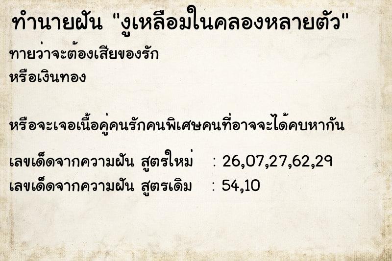 ทำนายฝันทำนายฝันงูเหลือมในคลองหลายตัว