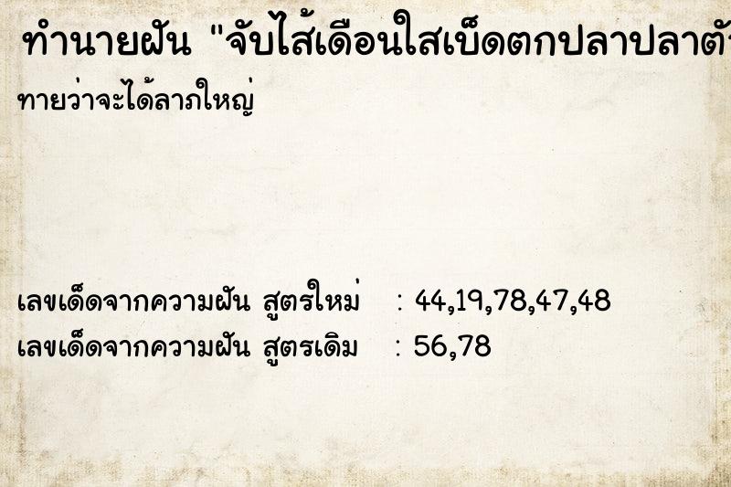 ทำนายฝันจับไส้เดือนใสเบ็ดตกปลาปลาตัวใหญ่ ทำนายฝันทำนายฝันจับไส้เดือนใสเบ็ดตกปลาปลาตัวใหญ่