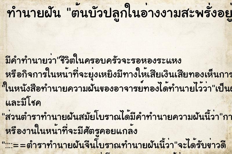 ทำนายฝันต้นบัวปลูกในอ่างงามสะพรั่งอยู่ในห้อง ทำนายฝันทำนายฝันต้นบัวปลูกในอ่างงามสะพรั่งอยู่ในห้อง