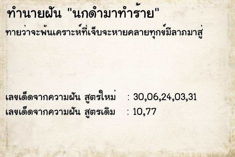 ทำนายฝันทำนายฝันนกดำมาทำร้าย