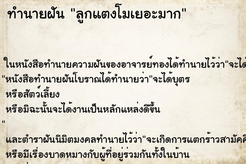 ทำนายฝัน ลูกแตงโมเยอะมาก ทำนายฝัน ลูกแตงโมเยอะมาก