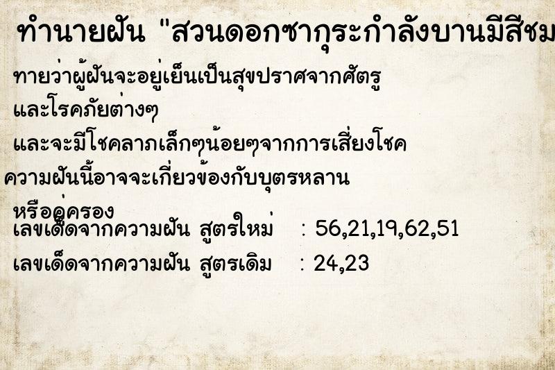 ทำนายฝันสวนดอกซากุระกำลังบานมีสีชมพูสวยงามมาก ทำนายฝันทำนายฝันสวนดอกซากุระกำลังบานมีสีชมพูสวยงามมาก