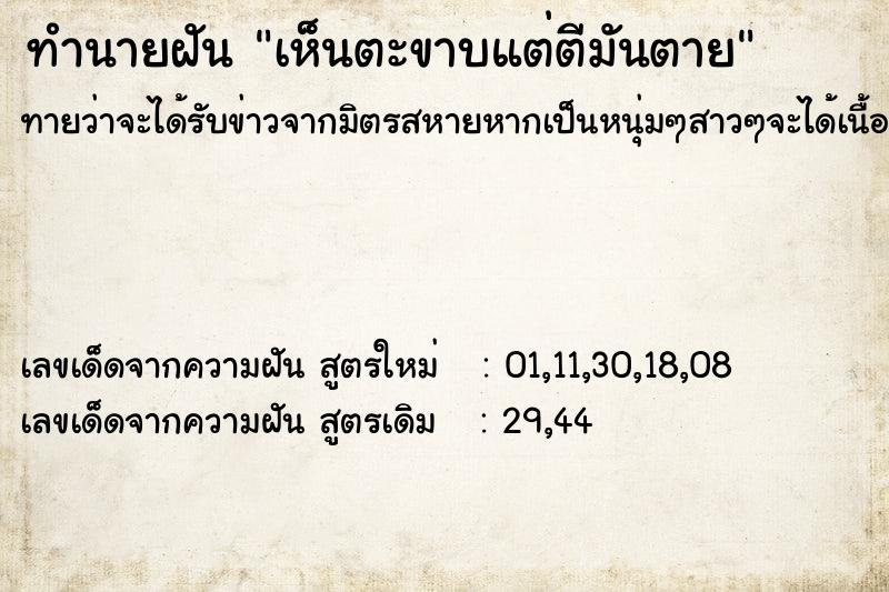 ทำนายฝัน เห็นตะขาบแต่ตีมันตาย ทำนายฝัน เห็นตะขาบแต่ตีมันตาย