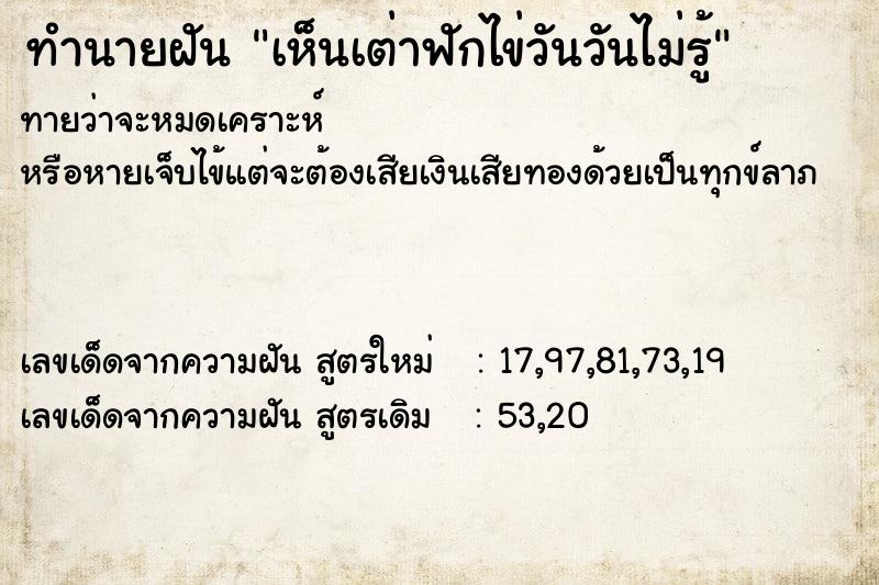 ทำนายฝันเห็นเต่าฟักไข่วันวันไม่รู้ ทำนายฝันทำนายฝันเห็นเต่าฟักไข่วันวันไม่รู้