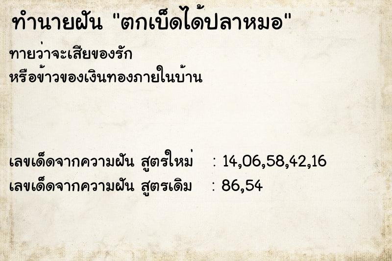 ทำนายฝันตกเบ็ดได้ปลาหมอ ทำนายฝันทำนายฝันตกเบ็ดได้ปลาหมอ