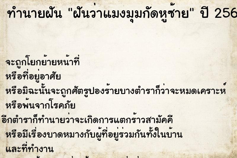 ทำนายฝันฝันว่าแมงมุมกัดหูซ้าย ทำนายฝันทำนายฝันฝันว่าแมงมุมกัดหูซ้าย