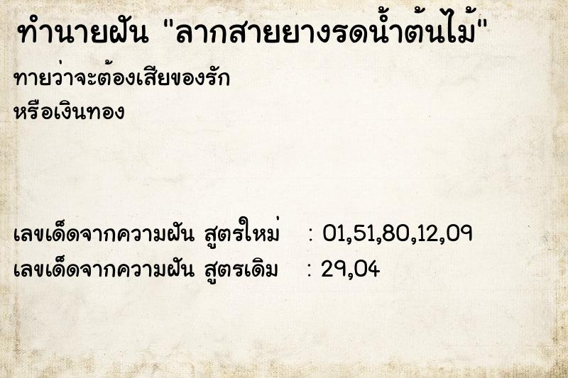 ทำนายฝันลากสายยางรดน้ำต้นไม้ ทำนายฝันทำนายฝันลากสายยางรดน้ำต้นไม้