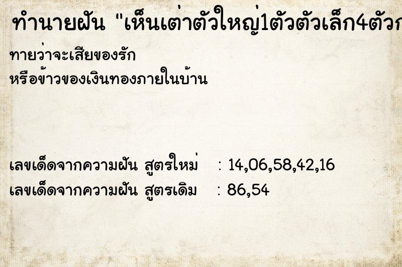 ทำนายฝันเห็นเต่าตัวใหญ่1ตัวตัวเล็ก4ตัวกลาง1ตัว ทำนายฝันทำนายฝันเห็นเต่าตัวใหญ่1ตัวตัวเล็ก4ตัวกลาง1ตัว