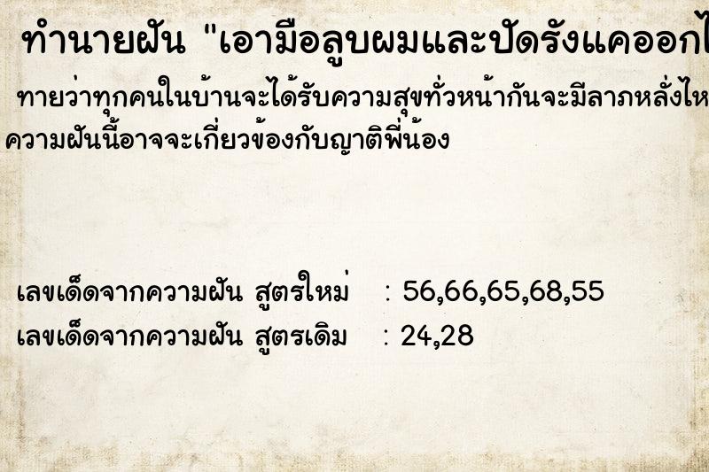 ทำนายฝัน เอามือลูบผมและปัดรังแคออกไปจากผม ทำนายฝัน เอามือลูบผมและปัดรังแคออกไปจากผม