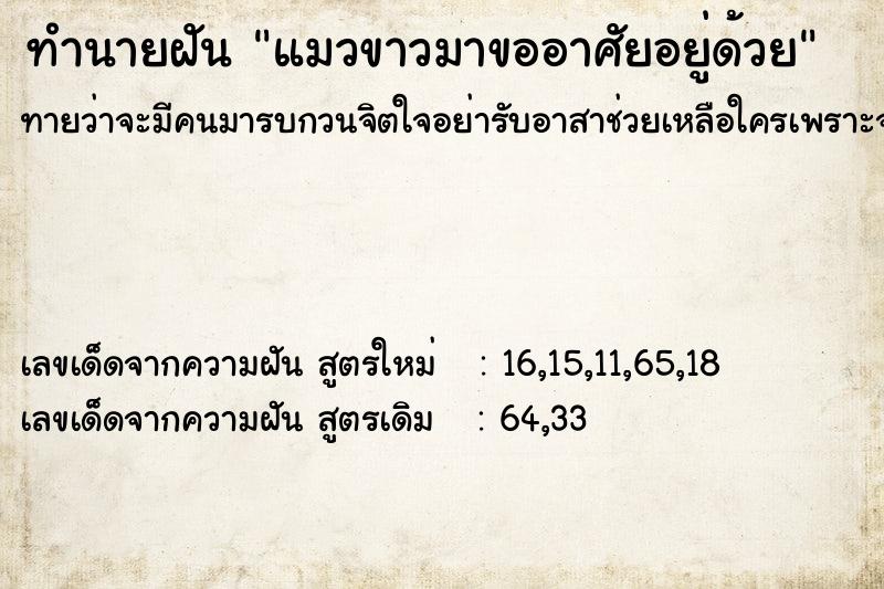 ทำนายฝันทำนายฝันแมวขาวมาขออาศัยอยู่ด้วย