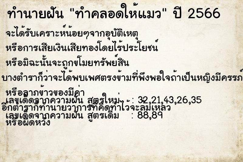ทำนายฝัน ทำคลอดให้แมว ทำนายฝัน ทำคลอดให้แมว