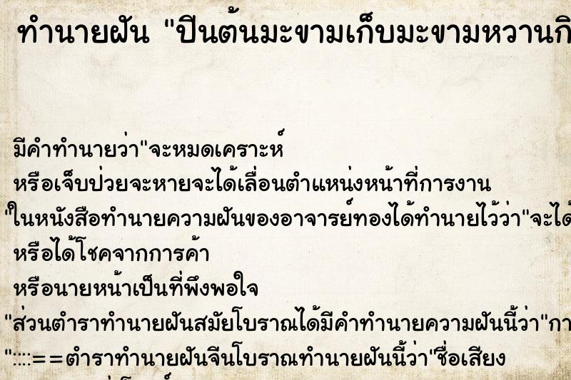 ทำนายฝัน ปีนต้นมะขามเก็บมะขามหวานกิน ทำนายฝัน ปีนต้นมะขามเก็บมะขามหวานกิน