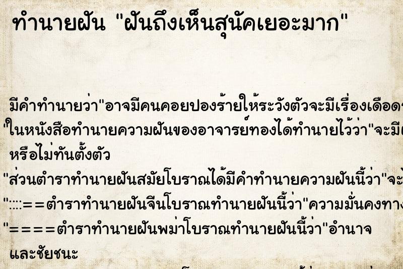 ทำนายฝันฝันถึงเห็นสุนัคเยอะมาก ทำนายฝันทำนายฝันฝันถึงเห็นสุนัคเยอะมาก
