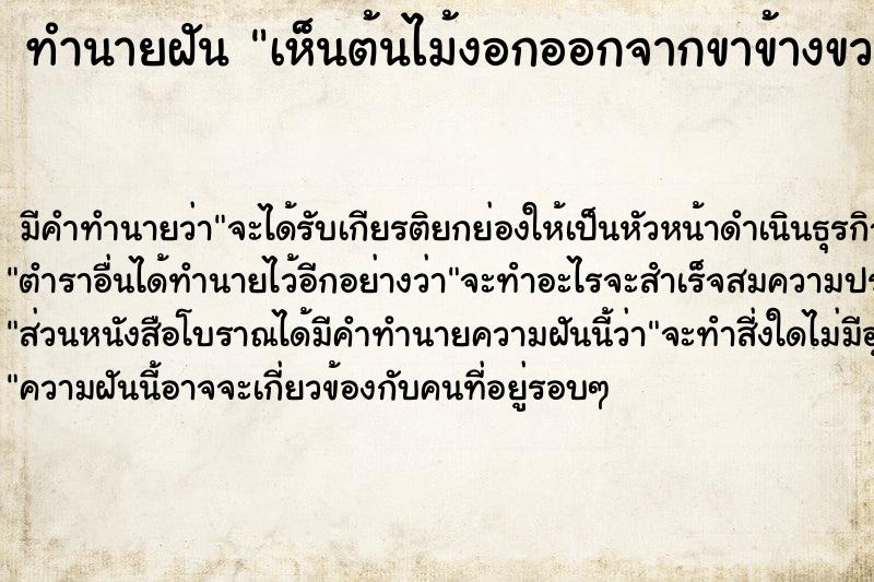 ทำนายฝัน เห็นต้นไม้งอกออกจากขาข้างขวา ทำนายฝัน เห็นต้นไม้งอกออกจากขาข้างขวา