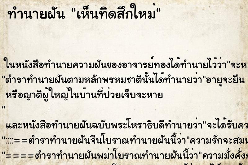 ทำนายฝันเห็นทิดสึกใหม่ ทำนายฝันทำนายฝันเห็นทิดสึกใหม่