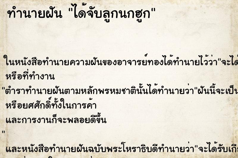 ทำนายฝัน ได้จับลูกนกฮูก ทำนายฝัน ได้จับลูกนกฮูก