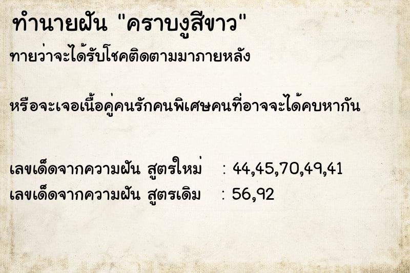 ทำนายฝันทำนายฝันคราบงูสีขาว