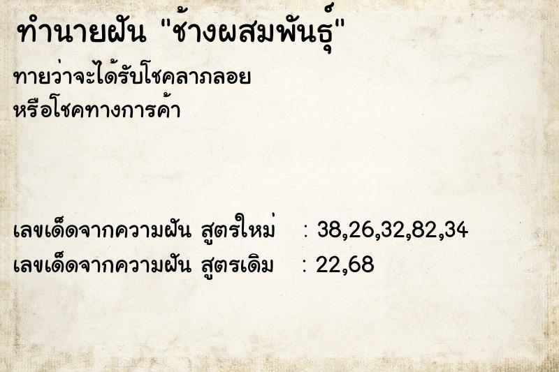 ทำนายฝัน ช้างผสมพันธุ์