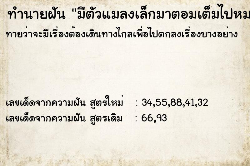 ทำนายฝันทำนายฝันมีตัวแมลงเล็กมาตอมเต็มไปหมด