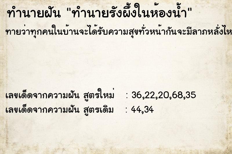 ทำนายฝันทำนายรังผึ้งในห้องน้ำ ทำนายฝันทำนายฝันทำนายรังผึ้งในห้องน้ำ