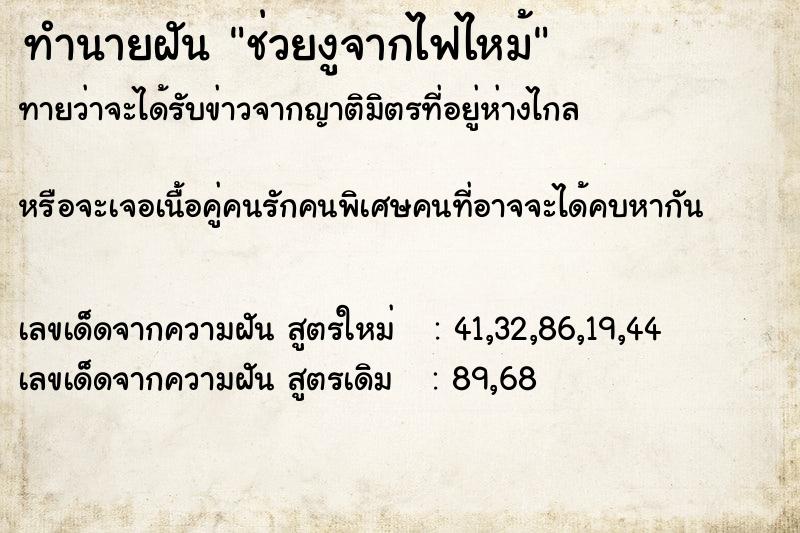 ทำนายฝันช่วยงูจากไฟไหม้ ทำนายฝันทำนายฝันช่วยงูจากไฟไหม้