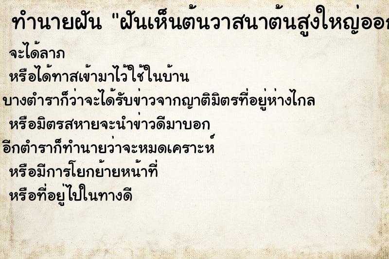 ทำนายฝันฝันเห็นต้นวาสนาต้นสูงใหญ่ออกดอกหลายช่อ ทำนายฝันทำนายฝันฝันเห็นต้นวาสนาต้นสูงใหญ่ออกดอกหลายช่อ
