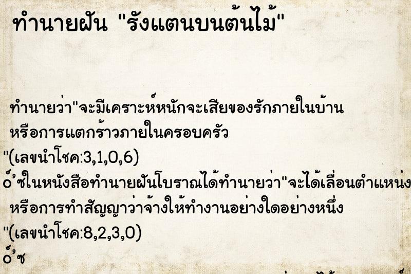 ทำนายฝันรังแตนบนต้นไม้ ทำนายฝันทำนายฝันรังแตนบนต้นไม้