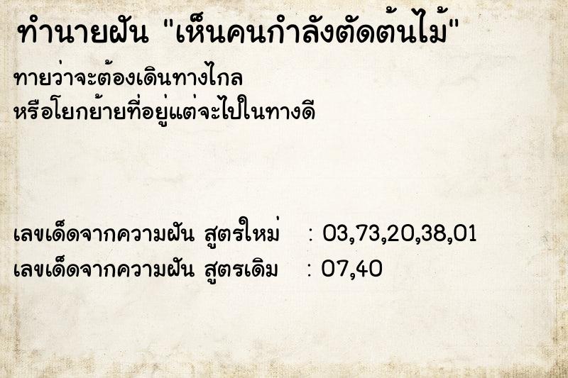 ทำนายฝันเห็นคนกำลังตัดต้นไม้ ทำนายฝันทำนายฝันเห็นคนกำลังตัดต้นไม้