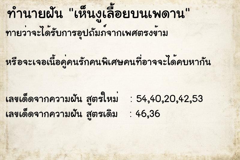 ทำนายฝันเห็นงูเลื้อยบนเพดาน ทำนายฝันทำนายฝันเห็นงูเลื้อยบนเพดาน