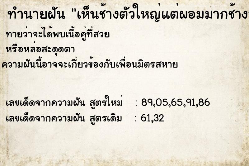 ทำนายฝัน เห็นช้างตัวใหญ่แต่ผอมมากช้างหิวอาหารมาก ทำนายฝัน เห็นช้างตัวใหญ่แต่ผอมมากช้างหิวอาหารมาก
