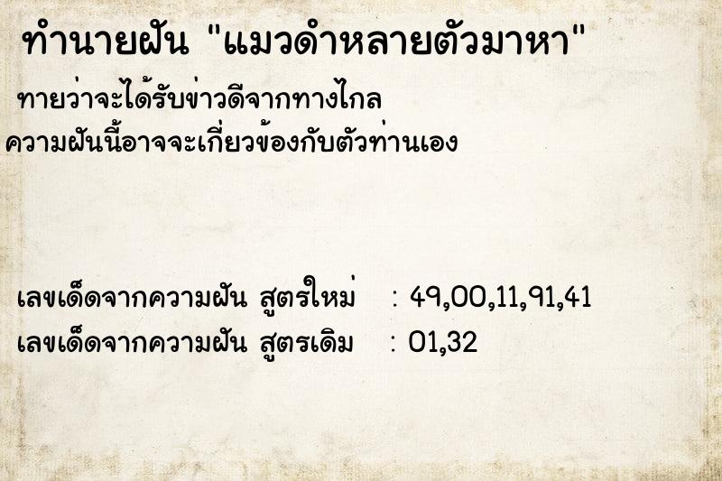 ทำนายฝันทำนายฝันแมวดำหลายตัวมาหา