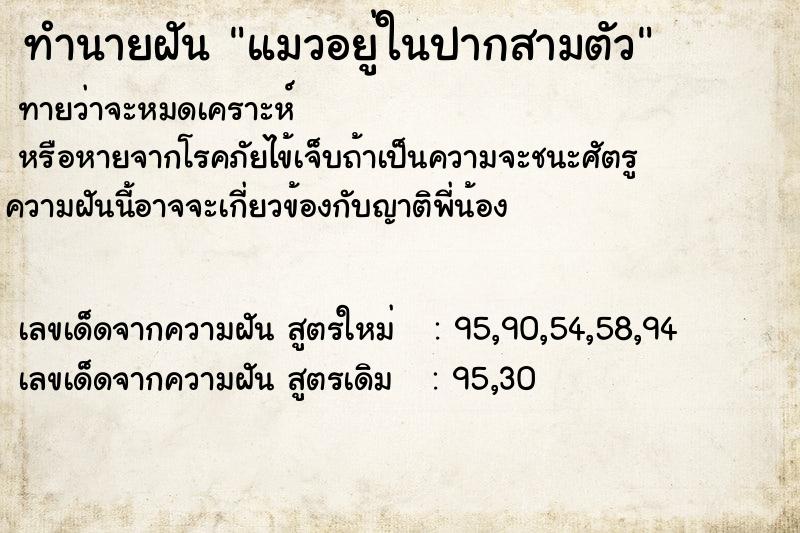 ทำนายฝันแมวอยู่ในปากสามตัว ทำนายฝันทำนายฝันแมวอยู่ในปากสามตัว