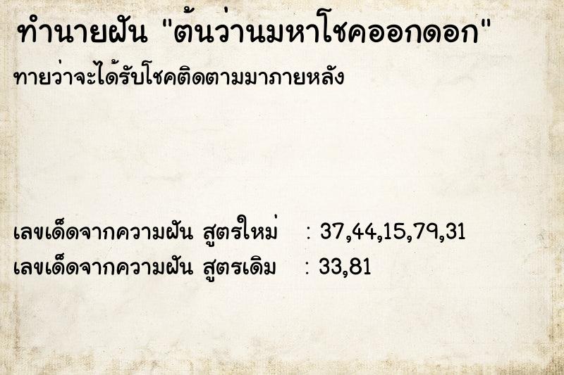 ทำนายฝันต้นว่านมหาโชคออกดอก ทำนายฝันทำนายฝันต้นว่านมหาโชคออกดอก